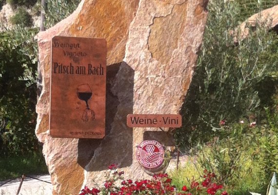 Weingut Pitsch am Bach - Bozen